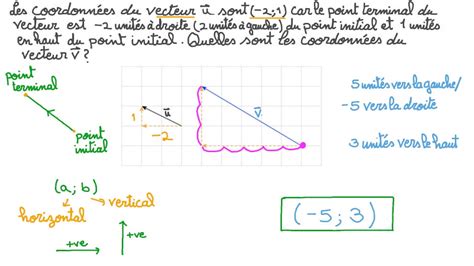 Vidéo question Les composantes dun vecteur sur un quadrillage Nagwa