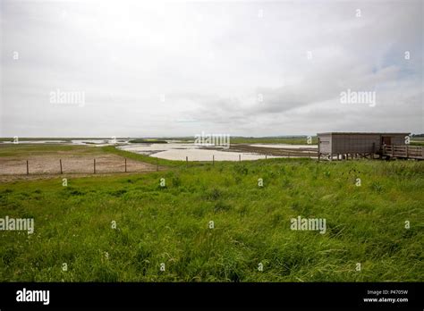 Wildlife Hide In Rye Harbour Rye Harbour Nature Reserve East Sussex