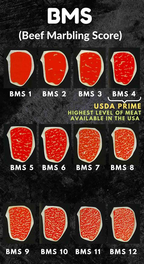 USDA Prime Beef – One Stop Halal