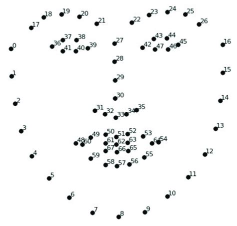 The 68 Facial Landmarks Used To Identify The Participants Facial