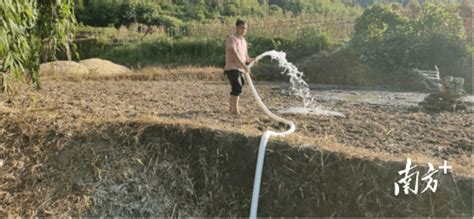 受连日旱情影响，英德这条村的农田干涸龟裂，怎么办？水边镇