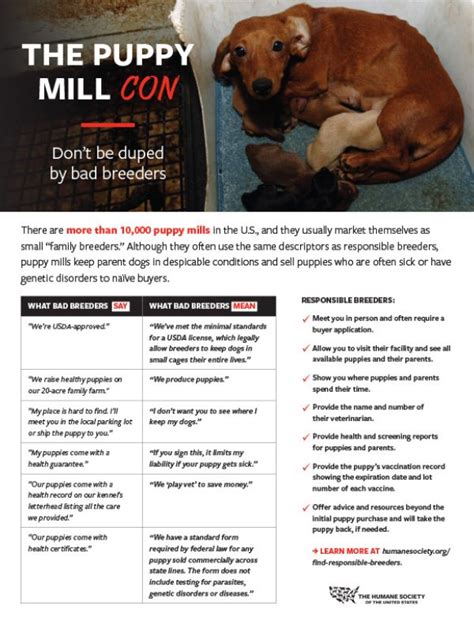 Fact Sheet The Puppy Mill Con Humanepro By The Humane Society Of The