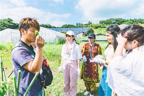 Utokyo Diversity Inclusion The University Of Tokyo