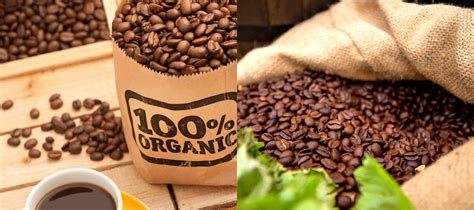 Organic Coffee | Deliciously Healthy & Nutritious