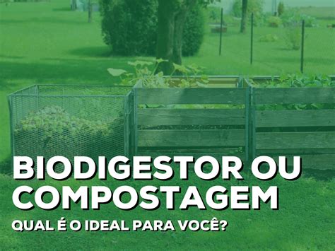 Biodigestor Ou Compostagem Qual O Ideal Para Seus Res Duos Org Nicos