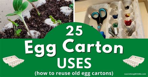 25 Eggcellent Egg Carton Uses You May Not Have Thought Of Learn