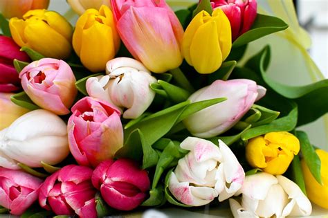 Tulipanes Flores Ramo Foto Gratis En Pixabay Pixabay