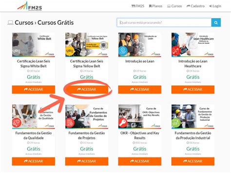 Cursos Gratuitos FM2s Desperte seu Potencial Conhecimento Acessível