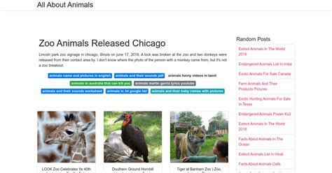 Zoo Animals Released Chicago