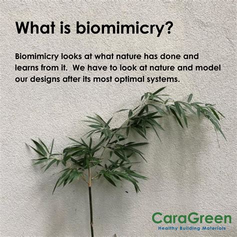 Biomimicry Design Architecture