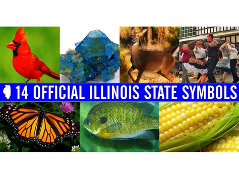 Did you know these are the 14 official state symbols in Illinois ...