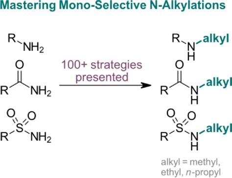 A Guide For Monoselective Nmethylation Nethylation And Nn