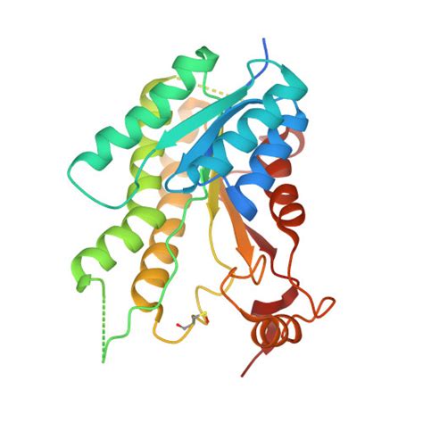 Rcsb Pdb Jq Crystal Structure Of Pteridine Reductase Ptr From