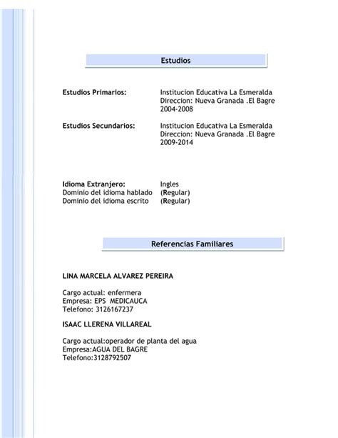 Hoja De Vida Luis PDF