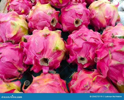 A Collection of Ripe Dragon Fruit Stock Image - Image of cactus ...