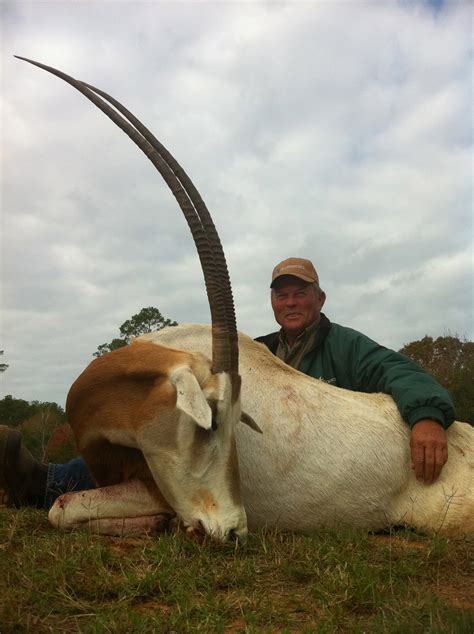 exotic animal texas 3