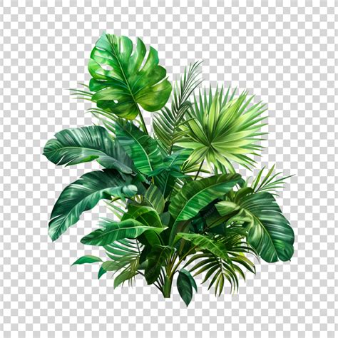 Tropical leaves isolated on a transparent background | Premium AI ...