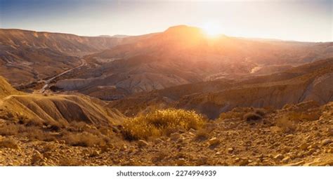 Israel Negev Desert Photos and Images & Pictures | Shutterstock