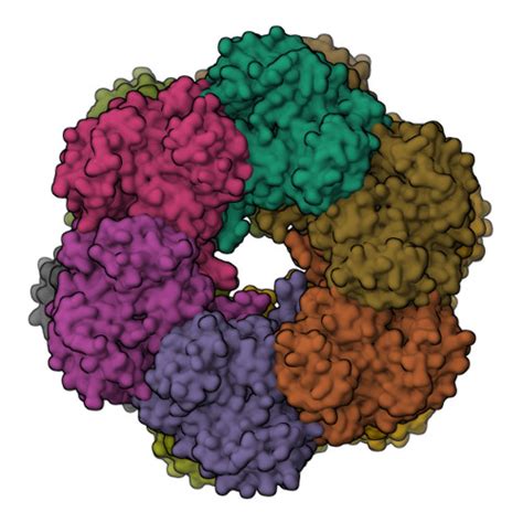 RCSB PDB 5ZLP Crystal Structure Of Glutamine Synthetase From