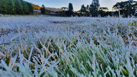 Geada Temperatura Curitiba Curitiba Tem Geada E Dia Mais Frio Do Ano