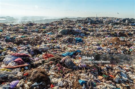 Burning Trash Piles In Landfill Stock Photo Download Image Now Air