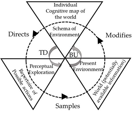 Perceptual cycle model. | Download Scientific Diagram