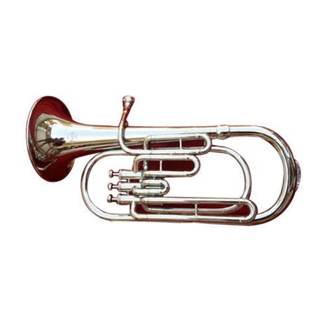 Brass Baritone Band, Color : Silver at Rs 16607 in Surat - ID: 6096185