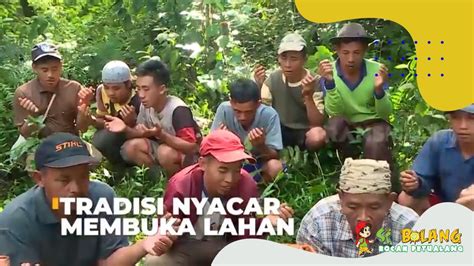 Tradisi Nyacar Membuka Lahan SI BOLANG 18 10 22 YouTube