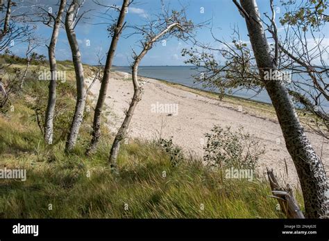 Beach On The North Sea Island Of Foehr Stock Photo Alamy