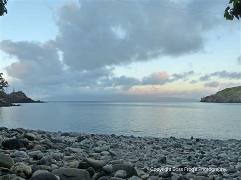 Honolua Bay Snorkel Guide | Boss Frog's Hawaii