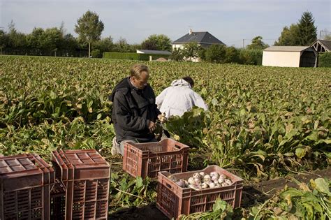 La Marque Fleuron D Anjou Fleurs Fruits Plantes L Gumes