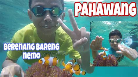 Snorkling Di Pulau Pahawang Berenang Bareng Ikan Nemo Trip