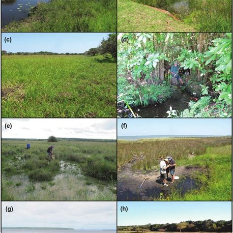 Examples of the wetland habitat types encountered in the St Lucia ...