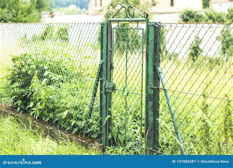 Green Gate And Nature Stock Image Image Of Black Barrier 131086287