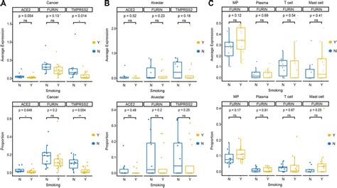 Ace Furin And Tmprss Expression Patterns In Major Cell Types