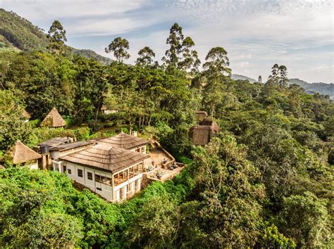 Eco Tourism: The Luxury Eco-Lodges Leading the Way