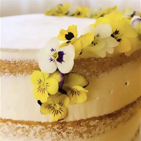 Naked Cake A Padoca do Rosário