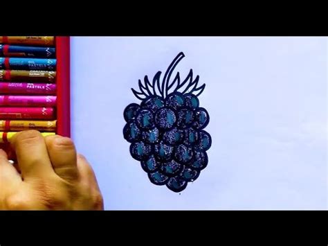 How To Draw A Blackberry Easy Drawing Learning How To Draw Fruits