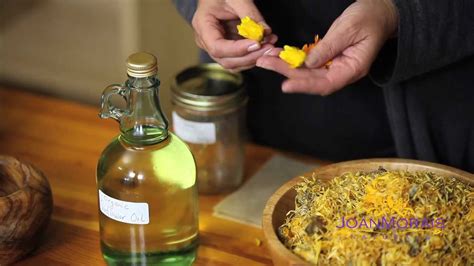 How To Make Infused Herbal Oil Calendula Oil Episode 1 Youtube