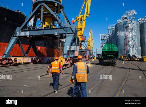 Panamax Bulk Carrier Loaded With Wheat Ship At Grain Terminal Port