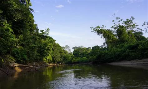 Camping Yasuni National Park Yasuni National Park - Photos & Trips from ...