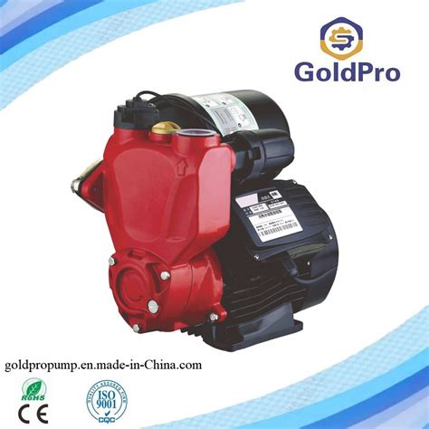 Wzb A Intelligent Self Priming Peripheral Water Pump China Smart