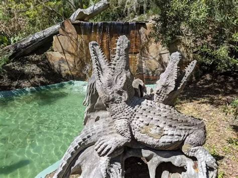 Edisto Island Serpentarium | Charleston.com