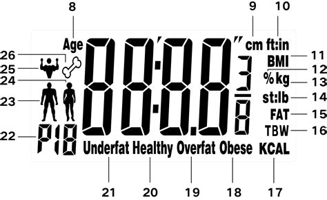 Buy Wholesale China Bathroom Scale Body Fat Scale With Bmi 12 Memory ...