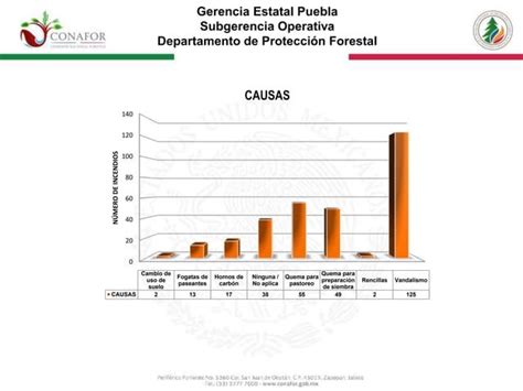 Puebla Ocupa El Quinto Lugar A Nivel Nacional En Incendios Forestales Ppt