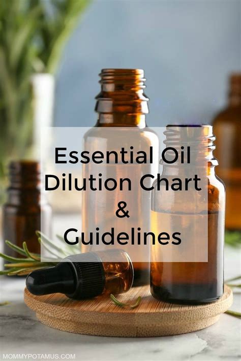 Essential Oil Dilution Chart And Guidelines Essential Oil Dilution