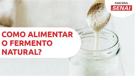 Como Alimentar E Fazer Fermento Natural CANAL SENAI PADACON YouTube