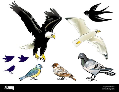 Birds Stock Vector Images Alamy