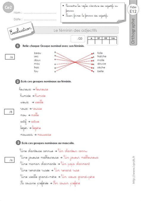 Ce F Minin Des Adjectifs Orthographe 4428 Hot Sex Picture