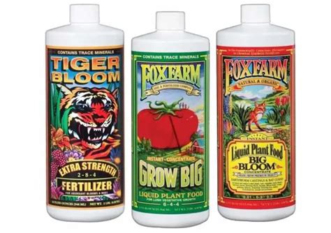 Choosing the Best Liquid Fertilizer for Vegetables to Boost Your Harvest